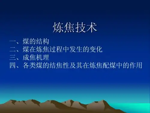 炼焦技术