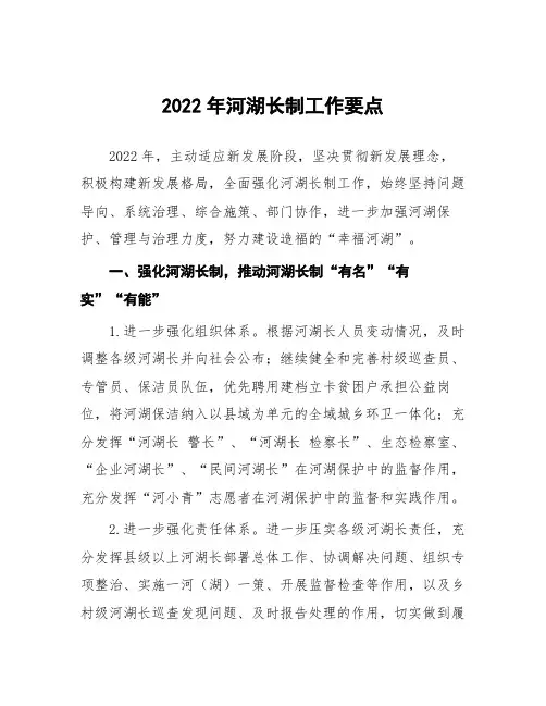 2022年河湖长制工作要点