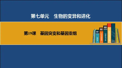 2025届高三生物一轮复习课件第19课 基因突变和基因重组