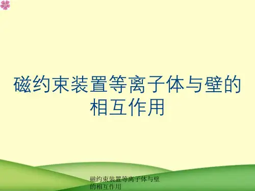 磁约束装置等离子体与壁的相互作用