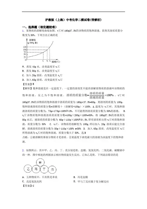 沪教版(上海)中考化学二模试卷(带解析)