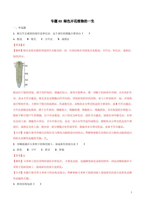 专题03 绿色开花植物的一生(解析版)