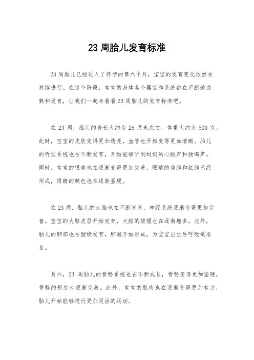 23周胎儿发育标准