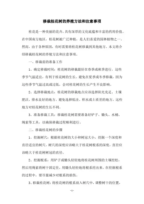 移栽桂花树的养殖方法和注意事项