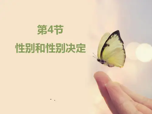 《性别和性别决定》PPT