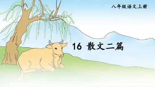 人教部编版语文八年级上册第16课《散文二篇》课件