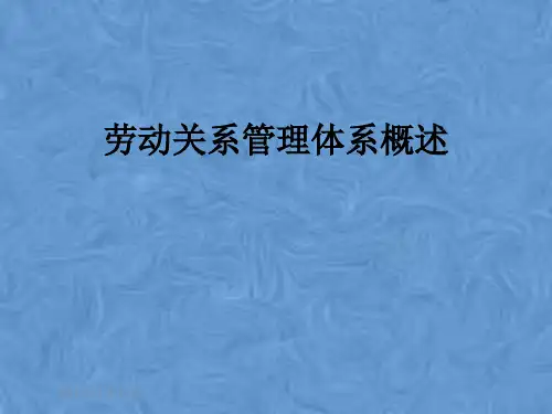 劳动关系管理体系概述