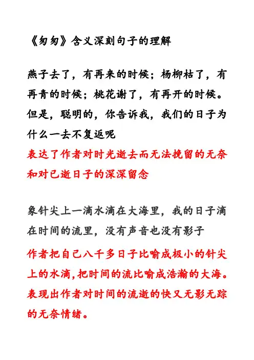 《匆匆》含义深刻句子的理解