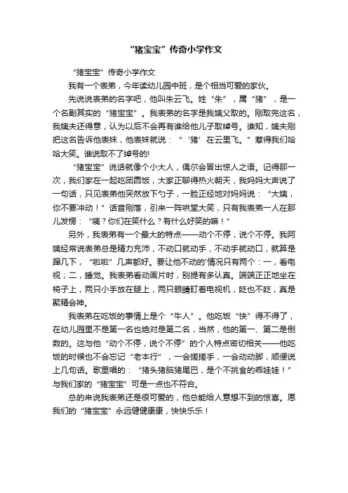 “猪宝宝”传奇小学作文