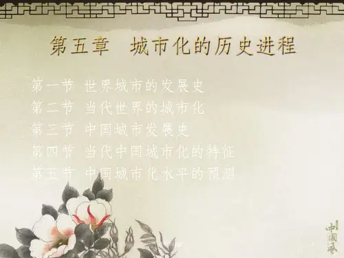 《城市化的历史进程》PPT课件