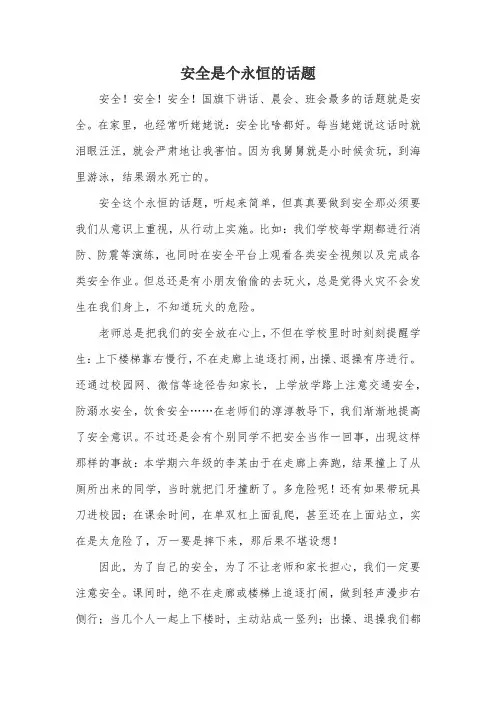 安全是个永恒的话题