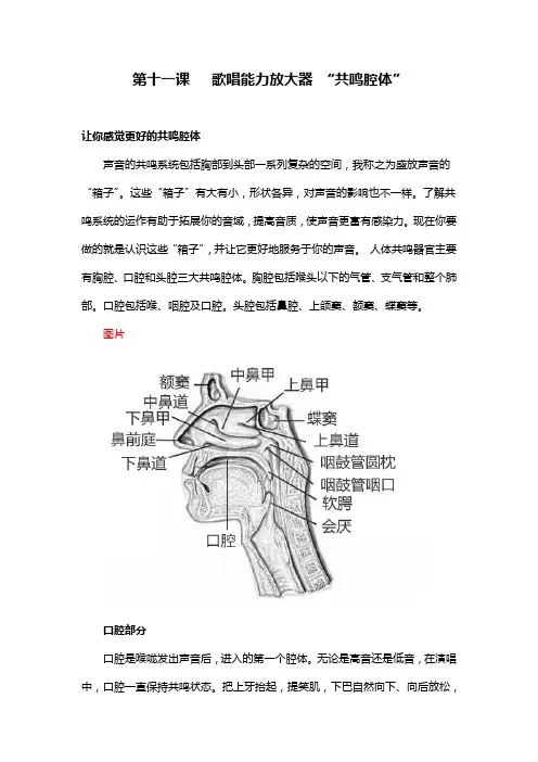 11  共鸣腔体