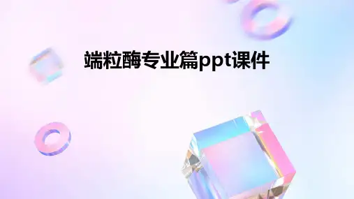 端粒酶专业篇ppt课件