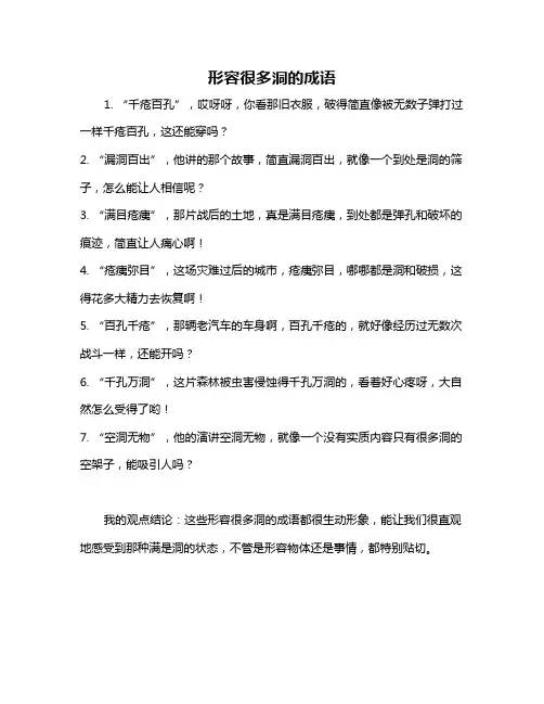 形容很多洞的成语