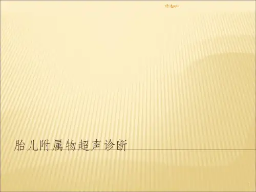 胎儿及附属物超声诊断