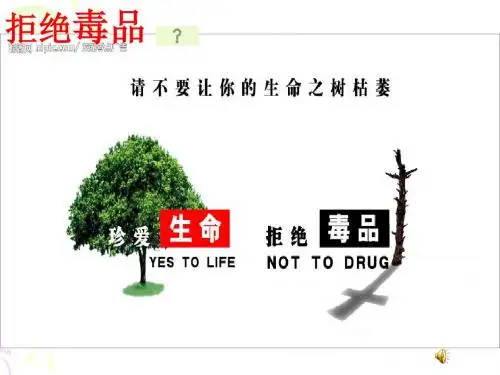 《拒绝毒品》ppt课件[18张PPT]
