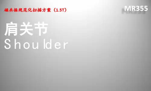 MR355.肩关节规范化扫描方案 (NXPowerLite)
