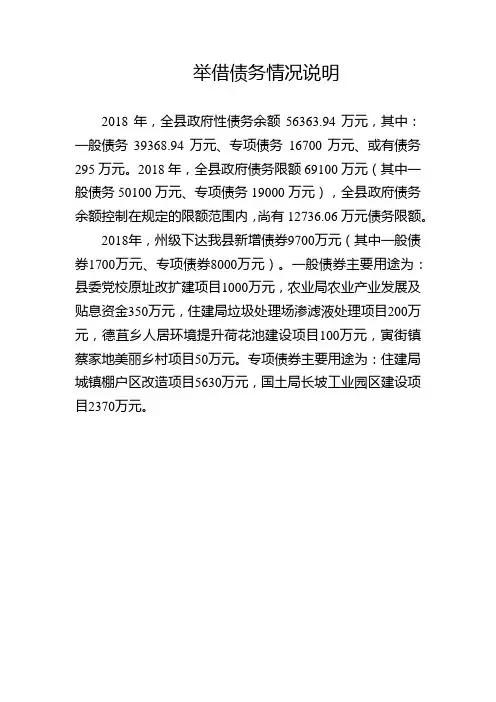 举借债务情况说明