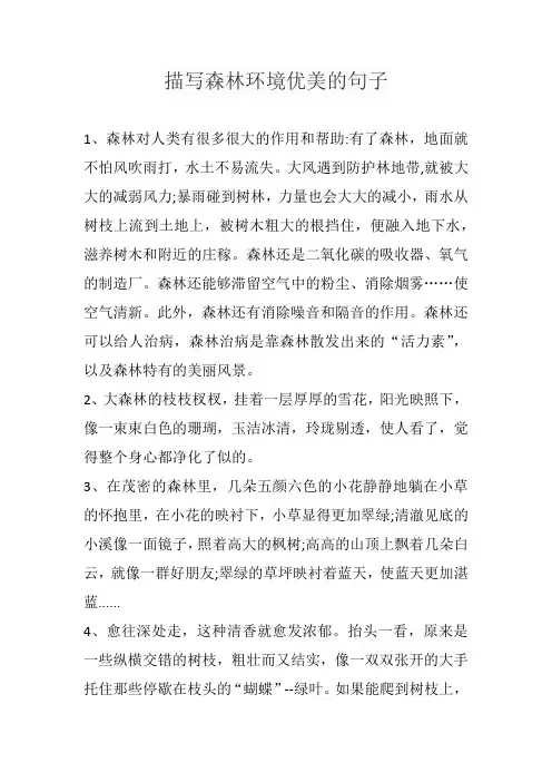 描写森林环境优美的句子