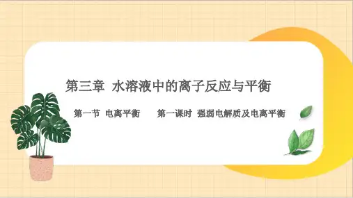 强弱电解质及电离平衡ppt课件