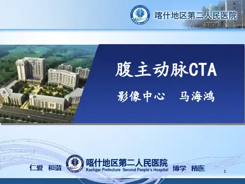 小讲课腹主动脉CTA