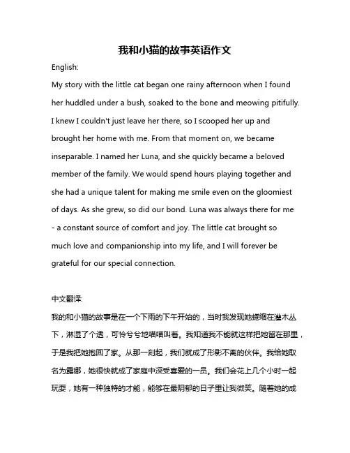 我和小猫的故事英语作文