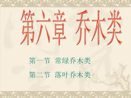 第六章 乔木