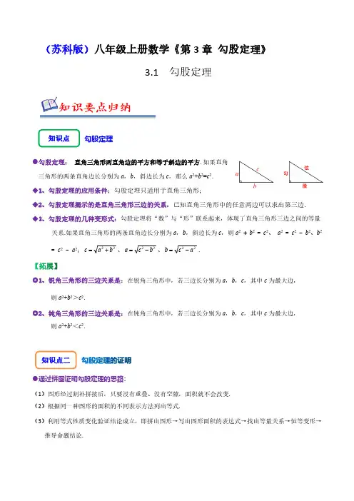 3.1勾股定理(七大题型)(解析版)