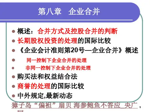 第八章企业合并