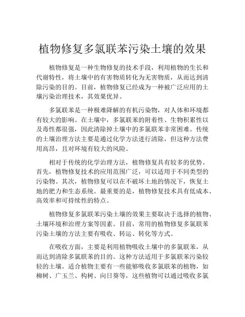 植物修复多氯联苯污染土壤的效果