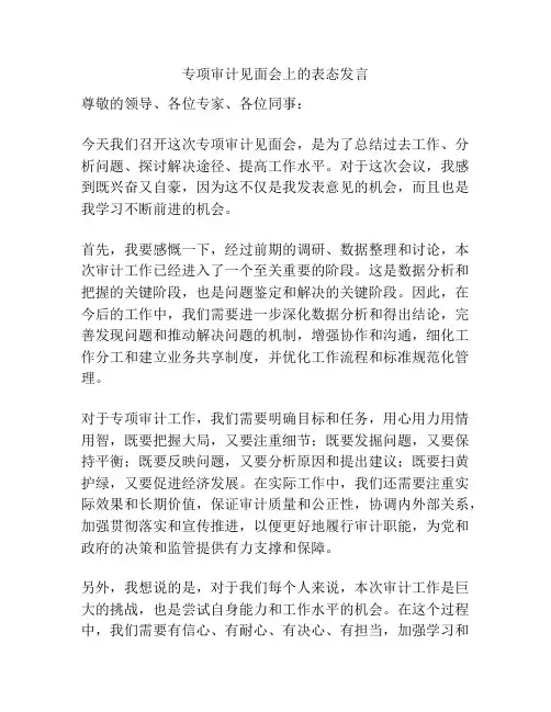 专项审计见面会上的表态发言