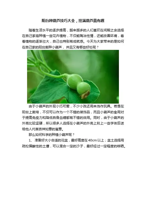 阳台种葫芦技巧大全，挂满葫芦真有趣