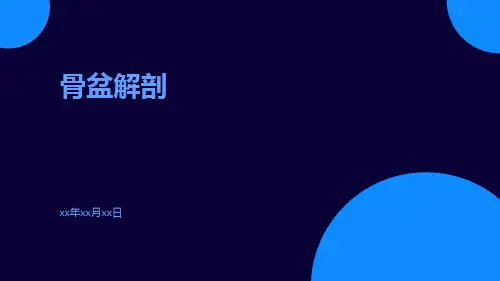 (医学课件)骨盆解剖
