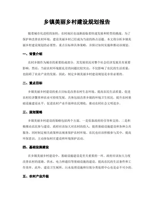 乡镇美丽乡村建设规划报告
