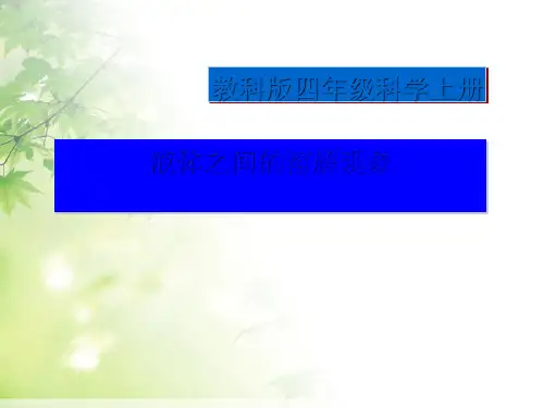 《液体之间的溶解现象》溶解PPT(上课用)3
