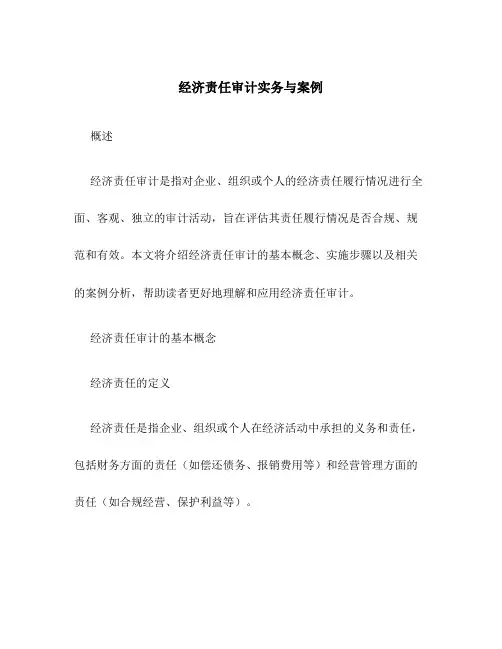 经济责任审计实务与案例[1]