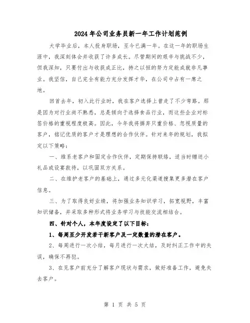 2024年公司业务员新一年工作计划范例（3篇）