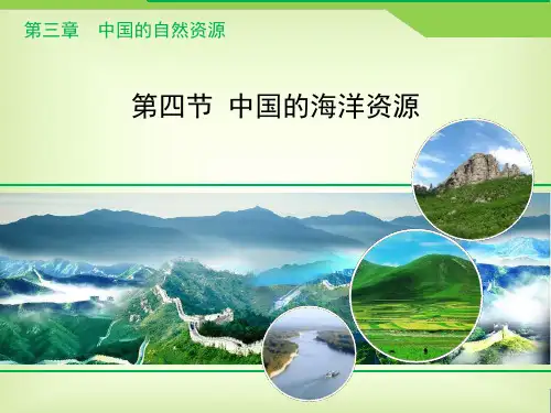 湘教版八年级地理上册3.4《中国的海洋资源》课件 (共24张PPT)