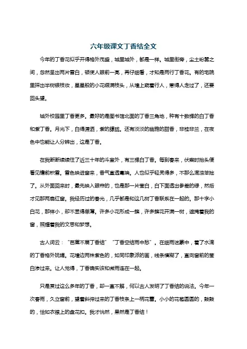 六年级课文丁香结全文