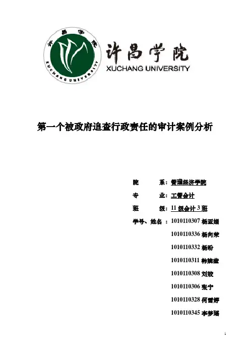第一小组——深圳原野审计案例报告删减版