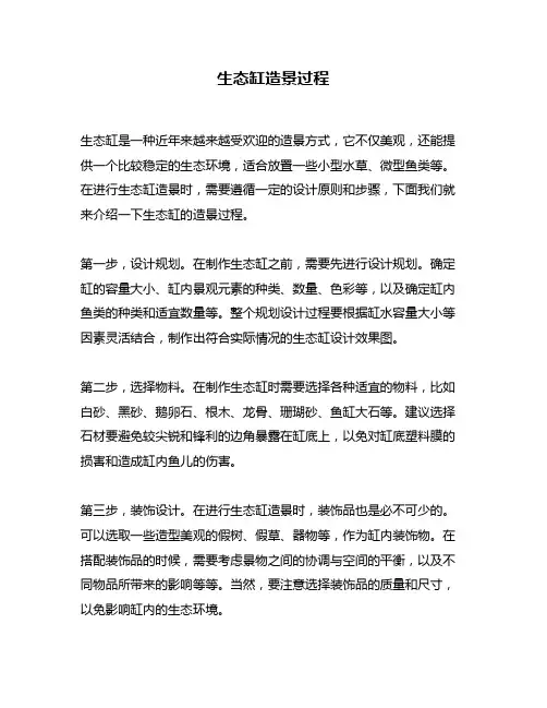 生态缸造景过程