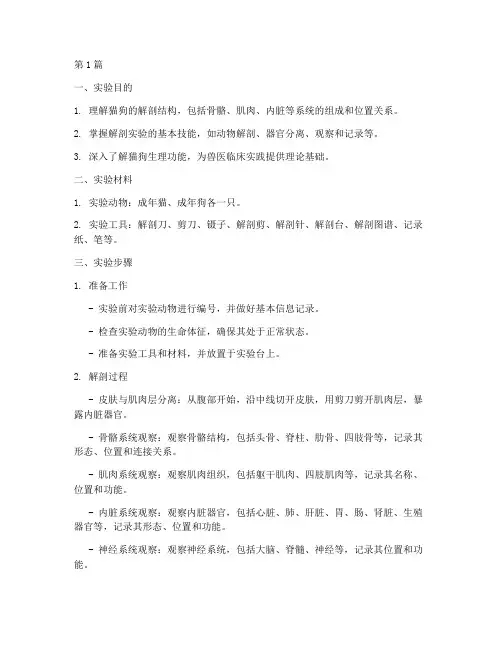 猫狗解剖实验报告(3篇)
