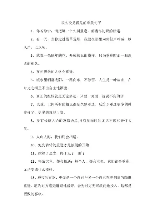 很久没见再见的唯美句子