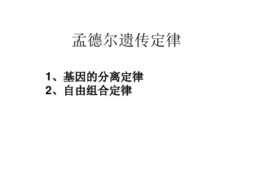 人教版教学课件孟德尔遗传定律共43张说课讲解