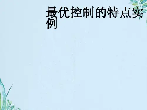 最优控制的特点实例