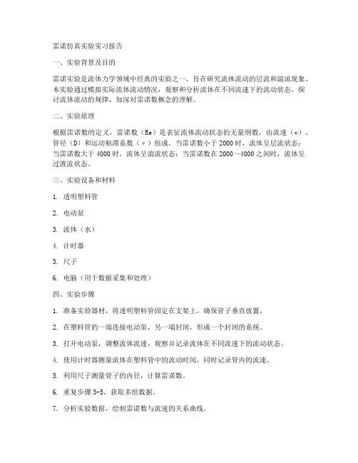 雷诺仿真实验实习报告