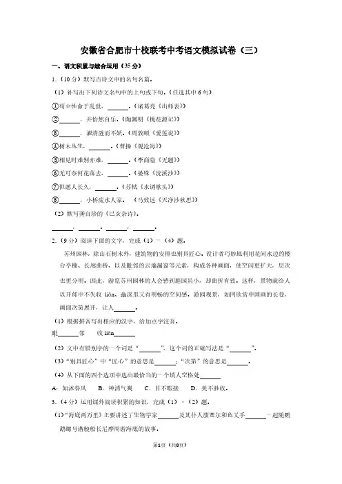 安徽省合肥市十校联考中考语文模拟试卷(三)