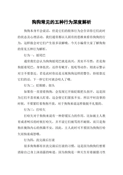 狗狗常见的五种行为深度解析