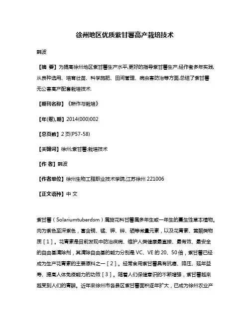 徐州地区优质紫甘薯高产栽培技术