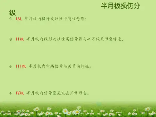 膝关节韧带MRI损伤表现